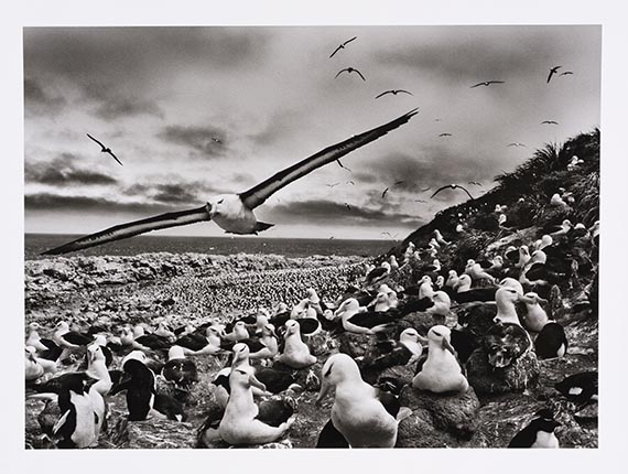 Sebastião Salgado - Gelatin silver print